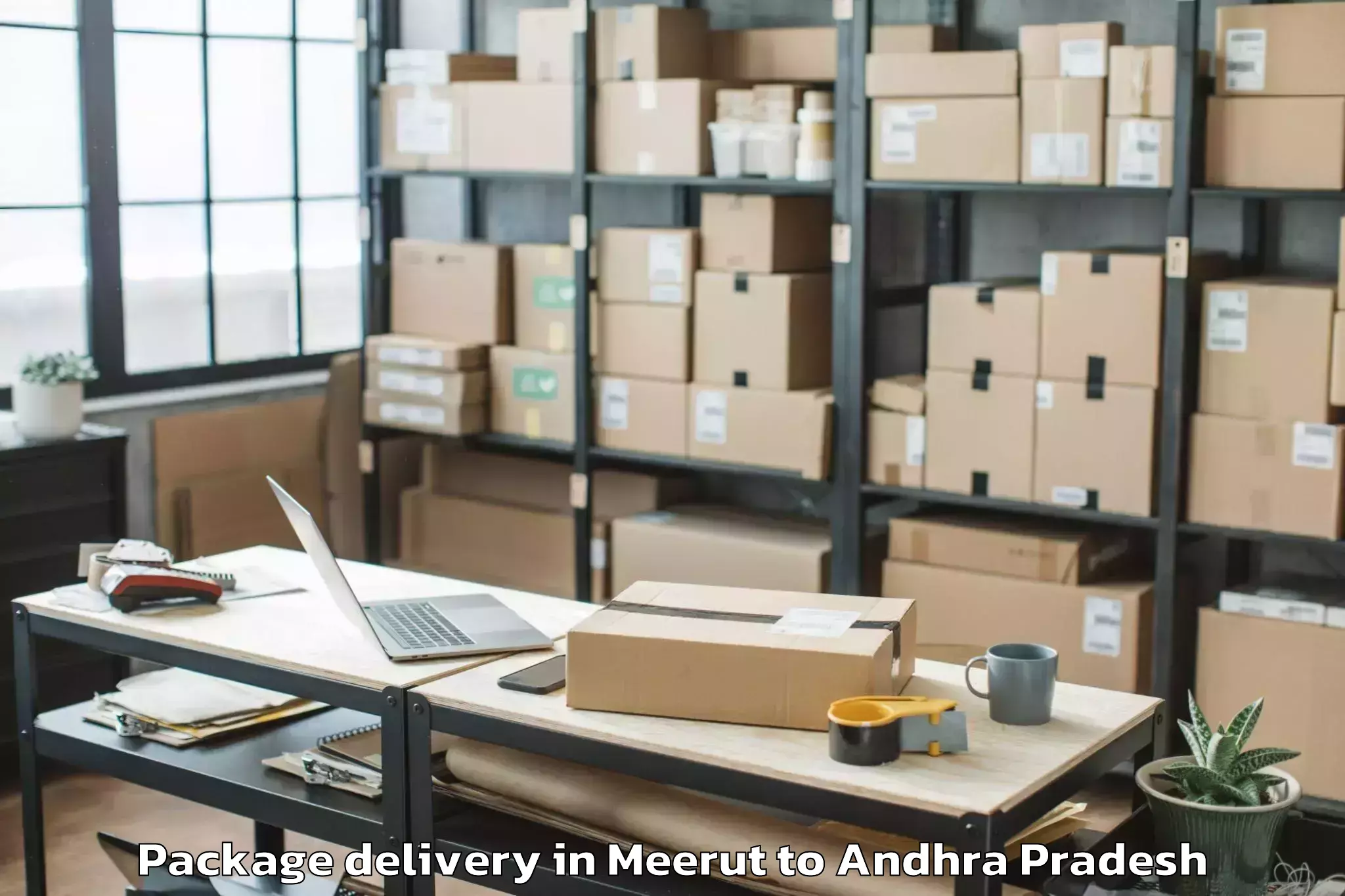 Easy Meerut to Pellakur Package Delivery Booking